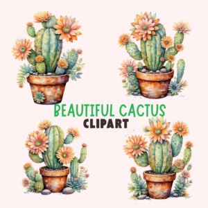 beautiful cactus clipart 1 1