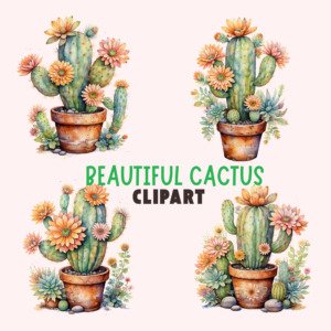 beautiful cactus clipart 3