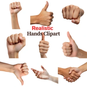 realistic hands clipart 1