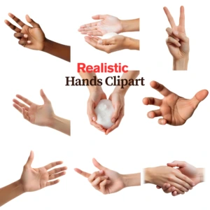 realistic hands clipart 3