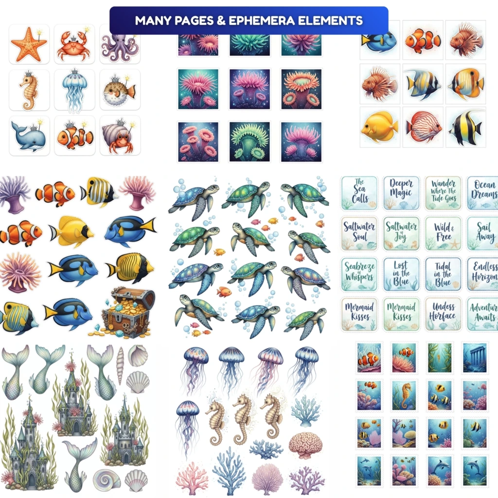 underwater kit 3