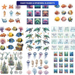 underwater kit 3