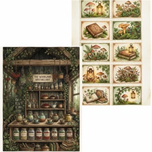 enchanted library (10)