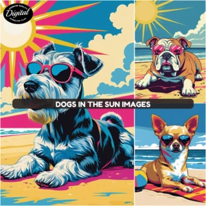 dogs taking sun (2)
