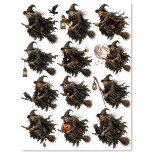 halloween witches fussy (4)
