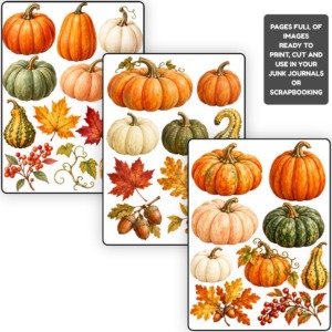 autumn pumpkins fussy (2)