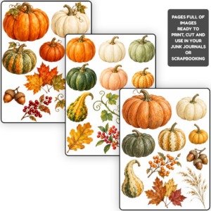 autumn pumpkins fussy (3)