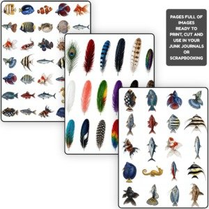Cutout Bundle 02 (2)