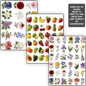 Cutout Bundle 02 (3)