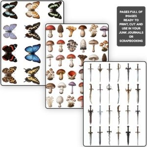 Cutout Bundle 02 (6)