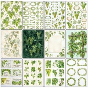 green grapes kit (3)